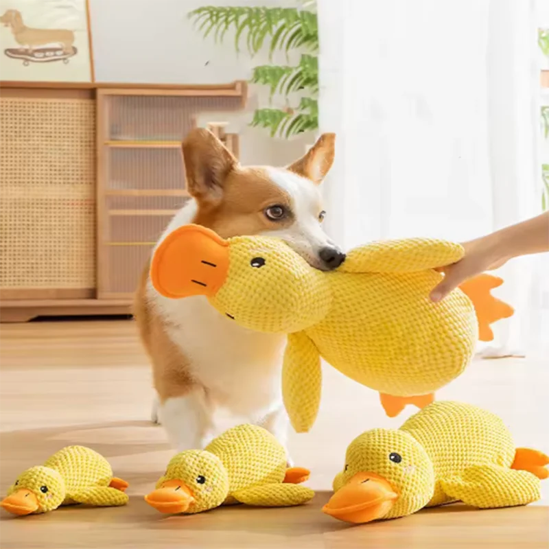 Canard en peluche pour chien — Jouet avec couinement
