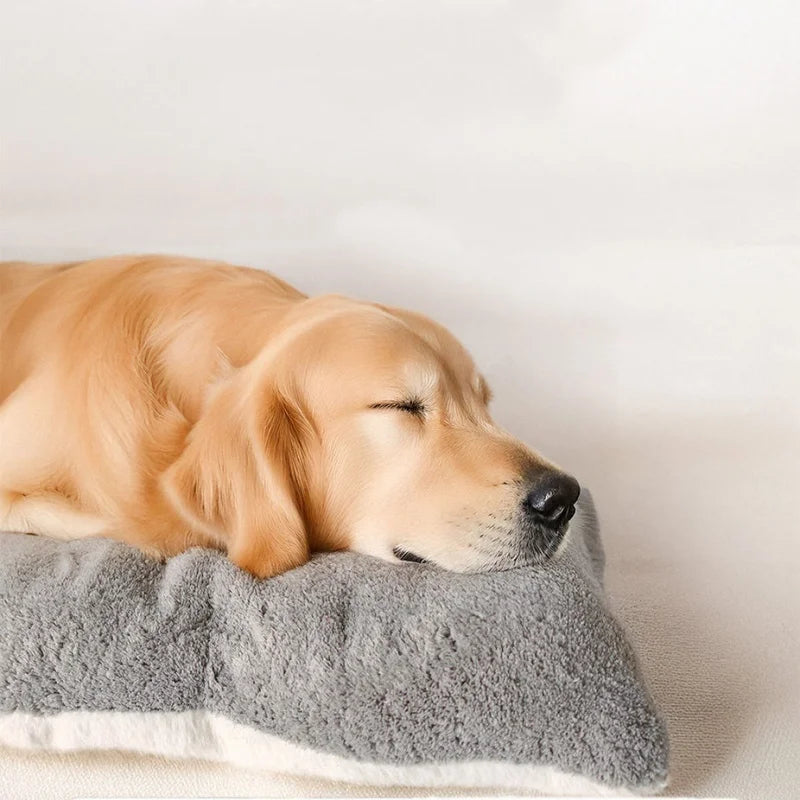 Canapé-lit en peluche Extra Large pour chien — Tapis épais Super Doux