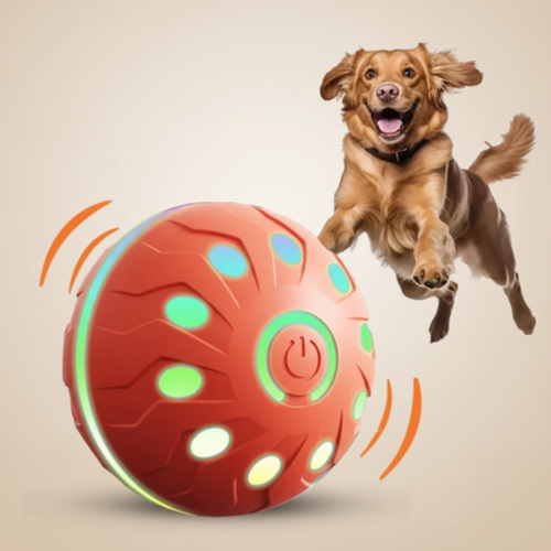 Balle électrique interactive pour chien — Rechargeable USB