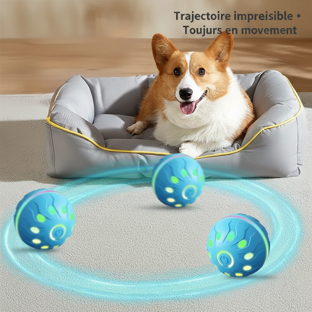 Balle électrique interactive pour chien — Rechargeable USB