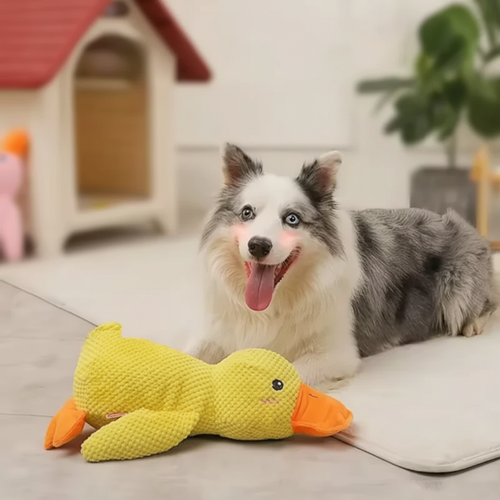 Canard en peluche pour chien — Jouet avec couinement